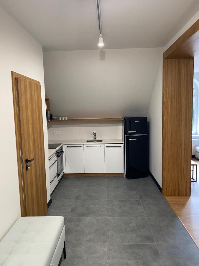 Apartamenty Przy Parku Szwedzkim Szczawno-Zdroj Exteriör bild